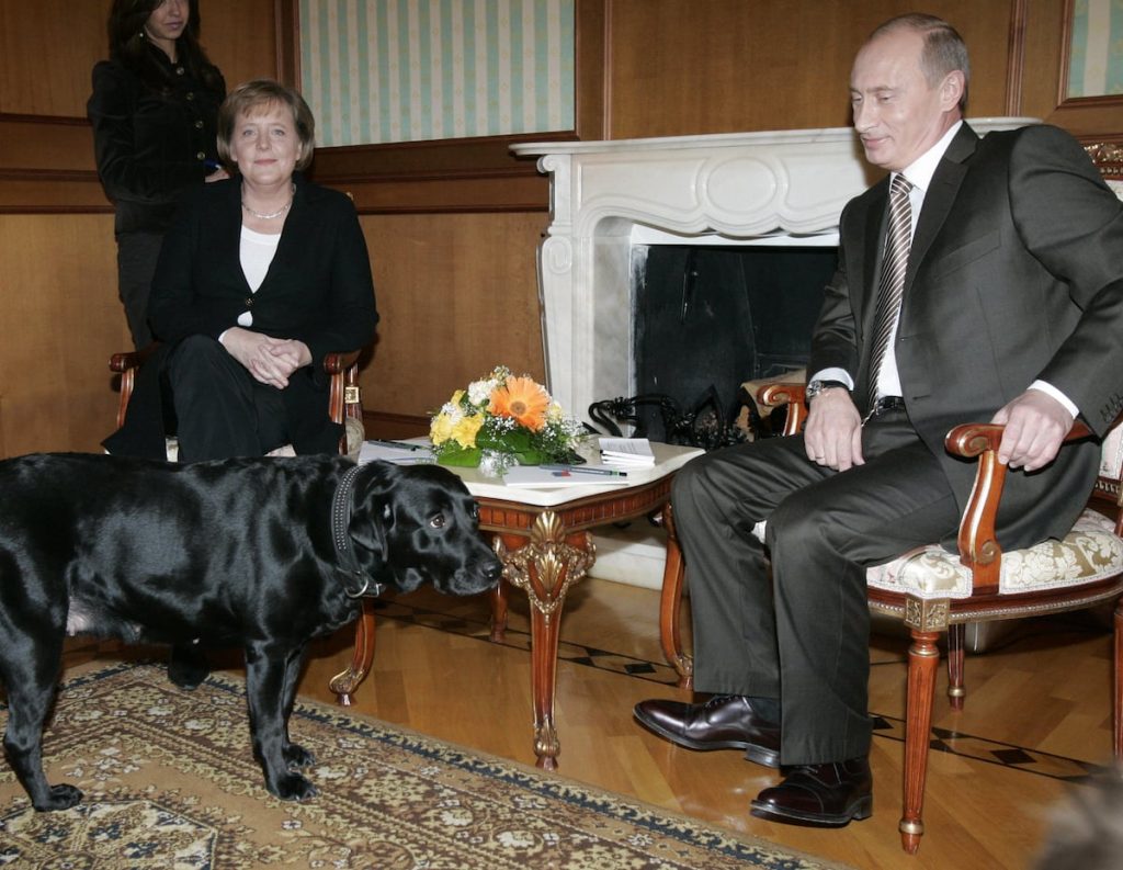 El curioso miedo de Merkel a los perros tras el encuentro con Putin